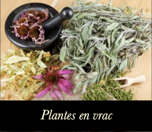 Plantes