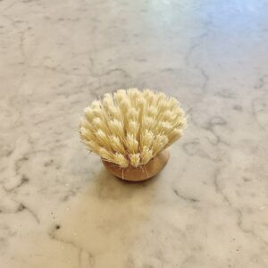 Brosse à poils durs recharge