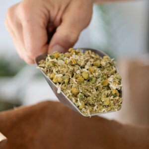 Sorbier fruits entiers nettoyés (image d'illustration)