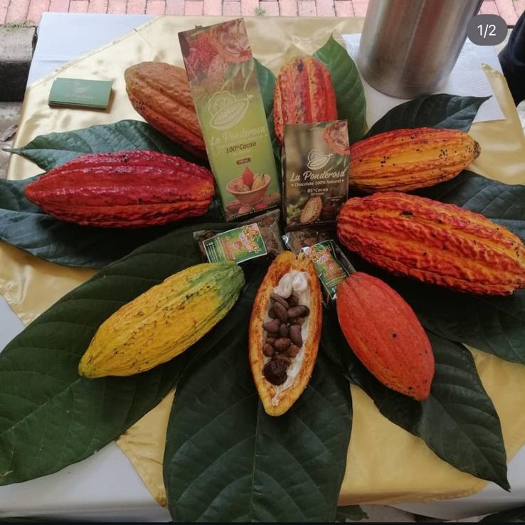 Cacao complet & biologique - chocolat chaud doux – Image 2