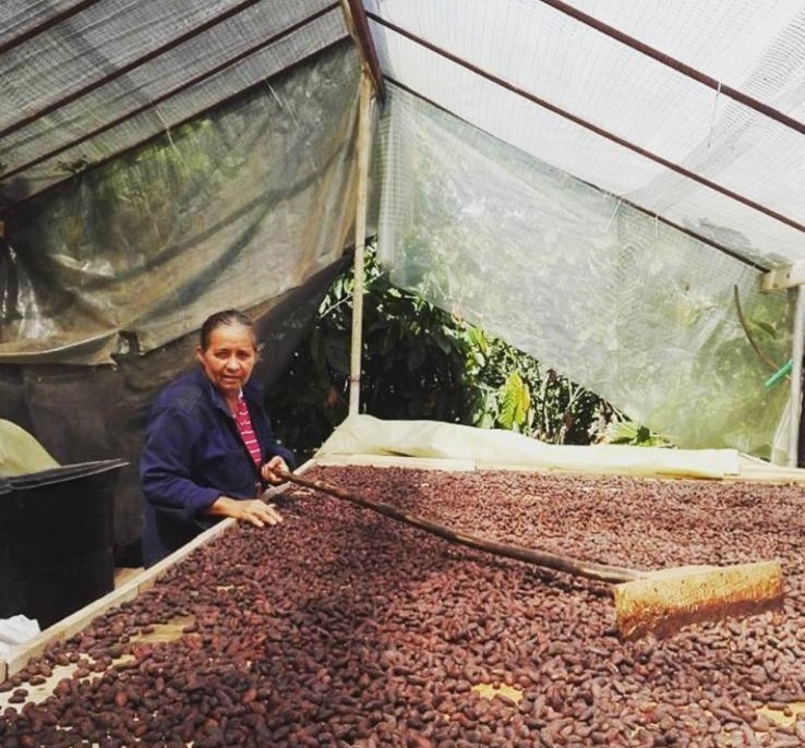 Cacao complet & biologique - chocolat chaud doux – Image 3