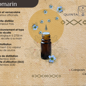 Romarin à cinéol - Huile essentielle 5 ml